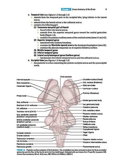 BRS Neuroanatomy (Board Review Series) Sixth Edition 2020